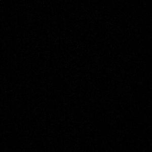 Meet your Posher, Kiana